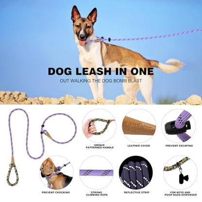 lynxking Dog Leash 1/2in x 5ft Slip Lead Black and 1/2in x 6ft Slip Lead Reflective Purple,2 Pack