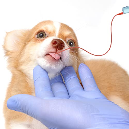 Nuanchu 3 Sets Puppy Kitten Feeding Tube Kit for Small Animals