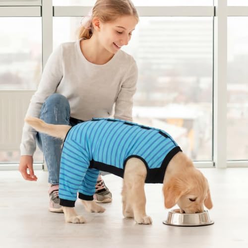 Kuoser Dog Recovery Suit with Anti Licking Rear Leg Sleeve, Blue M - color: Blue Strips, size: Medium (Back Length: 34cm / 13.38")