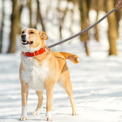 Mile High Life Dog Leash with Genuine Leather-Wrapped Ends, 4/5/6FT - color: Peacock Blue, size: 48 Inch-1/2"