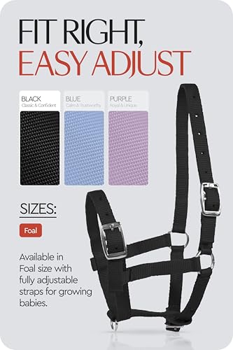 HORZE Adjustable Mini Horse Halter, Nylon Design for Foals, Colts, Fillies - color: Black