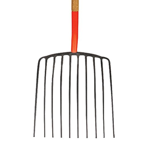 A.M. Leonard Forged Steel Scoop Fork, 10 Tines, 48 Inch Ash Handle