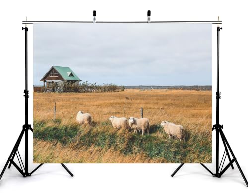 5x3ft Fabric Rural Grassland Sheep Backdrop Four Fluffy Wool Lamb Dark Wooden Cabin Overcast Sky Photography Background Tapestry Party Farm Country Decorations Photo Booth Props - size: 5x3ft