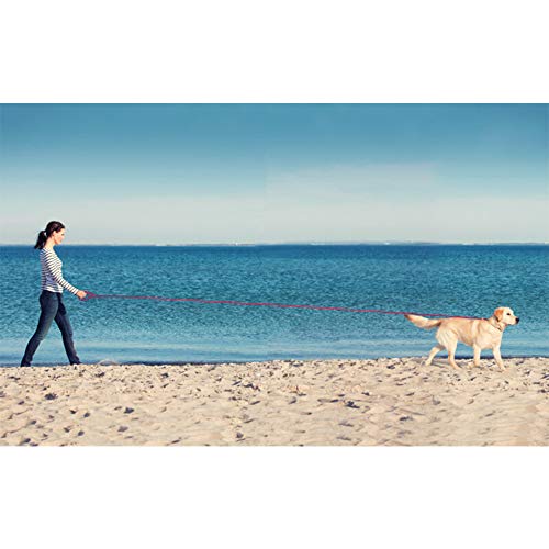 Waterproof Dog Training Leash 50FT 30FT 15FT 10FT 5FT Heavy Duty Recall Long Lead for Large Medium Small Dogs (10FT, Pink) - color: Pink, size: 10FT