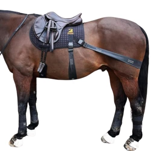 Core Conditioning Saddle Pad & Band System for Horses - style: Jump