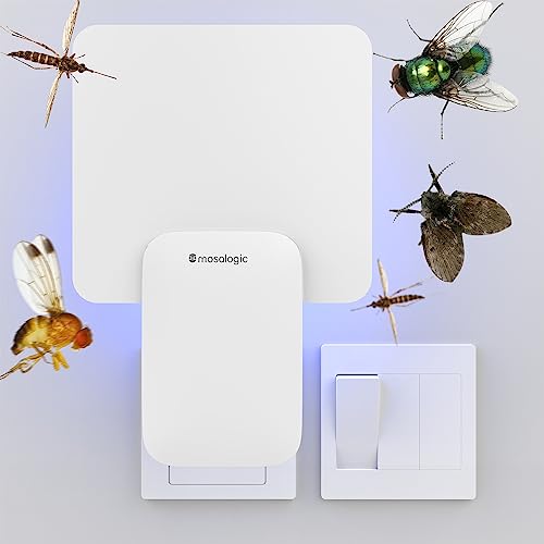 Mosalogic Updated Fly Trap Refills Sticky Card Replacement Glue Cards for Flying Insect Trap indoor-10pack (No Device) - size: 10Pack Plus