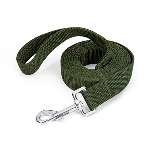 Strong Durable 10ft Nylon Dog Training Leash, 1 Inch Wide Traction Rope, for Small and Medium Dog (Military Green, 10 Feet) - color: Military green, size: 10 Feet