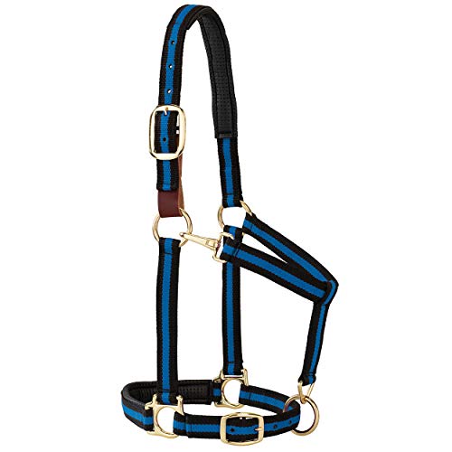 Weaver Equine Breakaway Horse Halter, Comfort Foam Padding, Adjustable Chin & Throat Snap Halters for Horses, Equine Tack,Average Size - color: Blue/Black