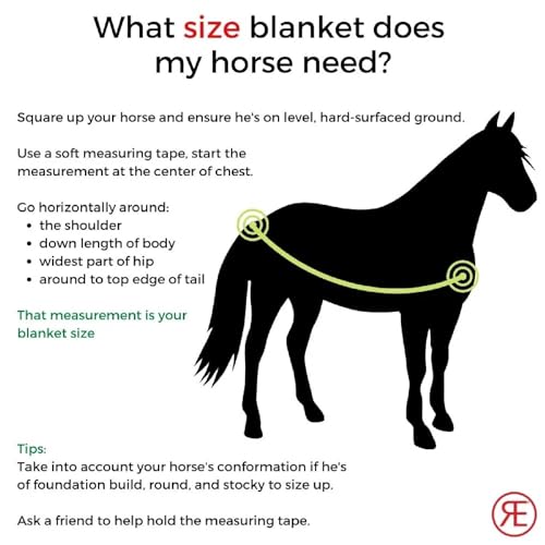 Reinsman Fly Sheet - Lightweight Breathable Ventilated Non-Slip Standard Neck Summer Mesh Sheet for Horses, White - 78" - size: 78"