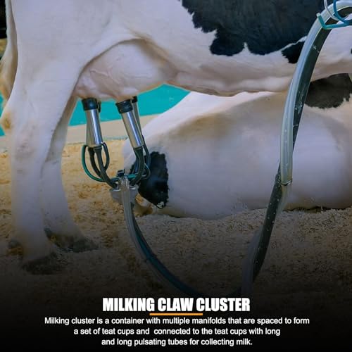 Cow Milking Cluster with 4 Silicone Teatcups, 240CC Milk Claw