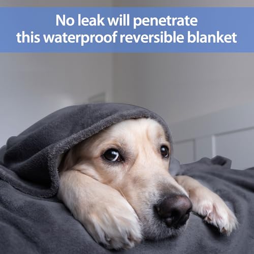 YISURE Waterproof Reversible Blanket for Bed King Size, 90"x80", Stain Proof Leakproof Bed Cover, Washable, Reusable, Protects Beds & Furniture from Spills, Stains & Splashes (Grey/Violet) | Large QueenSize Water Proof Reversible Intimacy blanket Bed Cove
