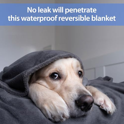 YISURE Waterproof Reversible Blanket for Bed King Size, 90"x80", Stain Proof Leakproof Bed Cover, Washable, Reusable, Protects Beds & Furniture from Spills, Stains & Splashes (Grey/Violet) | Large QueenSize Water Proof Reversible Intimacy blanket Bed Cove