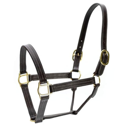 Jeffers Lexington Triple Stitched Leather Halter for Horses – Adjustable Double Buckle Crown, Breakaway Option, Equestrian Horse Tack for Riding, Show, Travel, & Turnout - size: Cob