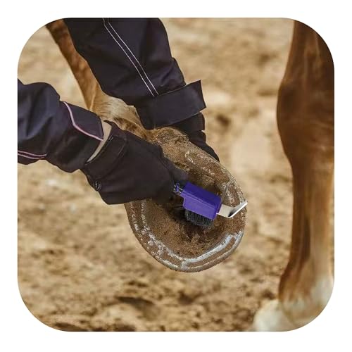 Purple Horse Hoof Pick Brush, Soft Grip Handle with Stiff Bristles for Effective Hoof Cleaning Portable Grooming Tool - color: Purple