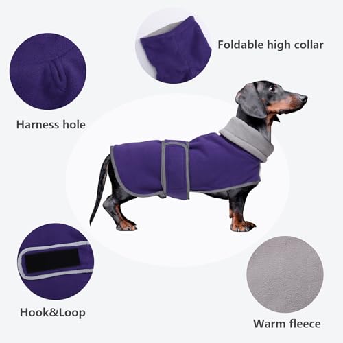 Dachshund Coats Sausage Dog Fleece Coat in Winter Miniature Dachshund Clothes with Hook and Loop Closure high vis Reflective Stripe Safety Purple XS - color: Purple, size: X-Small(Back: 12"-13"in)