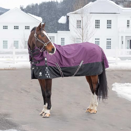 Equinavia Thunder 360 Detachable Neck Light Weight Turnout Blanket 100g - Plum Wine - 75 in - color: Plum Wine, size: 75 in