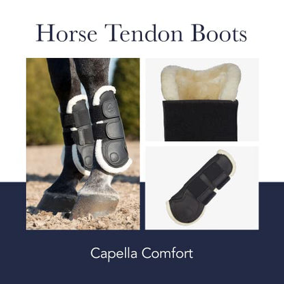 LeMieux Horse Tendon Boots - Protective Gear and Training Equipment - Equine Boots, Wraps & Accessories - Tendon Protection and Support - color: Black