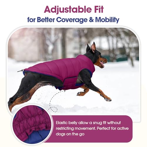 QBLEEV Reversible Dog Jacket, Windproof Dog Coat, Lightweight Puffer Vest - color: Violet-Blue, size: X-Small