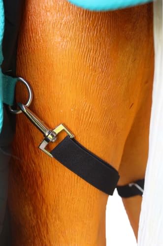 Challenger 1200D Miniature Weanling Donkey Pony Horse Foal Winter Blanket Teal 51945 - color: Black Turquoise Trim, size: 36"