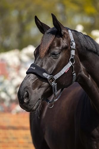 LeMieux Vogue Fleece Headcollar - Halter & Leadrope - Extra Padding, Adjustable at Curb and Poll Strap - color: Black / Grey, size: cob