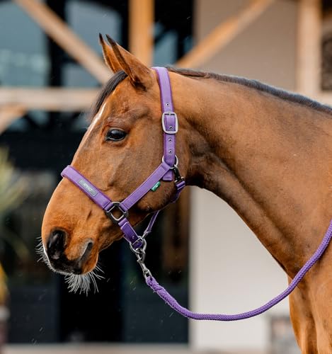 Horseware® Amigo® Halter & Leadrope Set - color: Winterberry, size: Pony