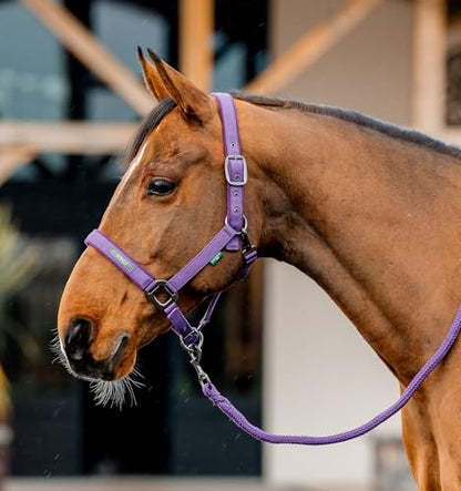 Horseware® Amigo® Halter & Leadrope Set - color: Winterberry, size: Cob