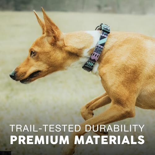 Embark Dog Collar - Adjustable Heavy Duty Outdoor Pet Training Collar - color: Aztec, size: Small