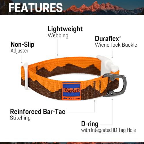 Charlie’s Backyard Teton Dog Collar, Urban to Trail Lightweight & Adjustable with Quick Release DURAFLEX Buckle, Durable D-Ring & All-Day Comfort, Autumn Glow, Small - color: Autumn Glow, size: Small
