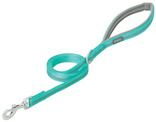 Terrain D.O.G. Reflective Neoprene Lined Dog Leash, Mint, 6-feet L x 3/4-inch W