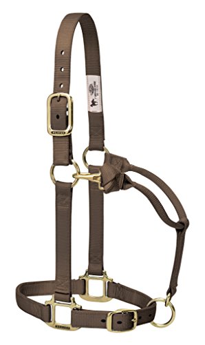 Weaver Leather Original Adjustable Nylon Horse Halter, Small Horse, Brown