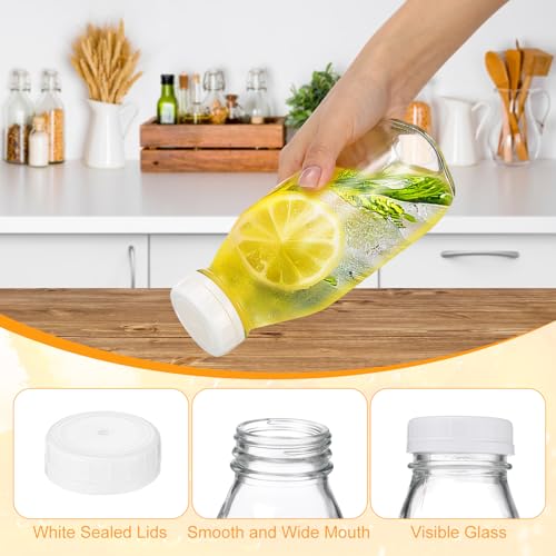 Suclain 10 Pack 16 oz Glass Milk Bottles with Lids, Clear Reusable Milk Containers, 100% Airtight Juice Water Bottles for Refrigerator Storage, Smoothies, Cold Brew, Honey, Oats, Tea, Kitchen Beverage