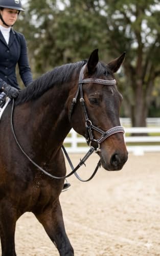 CHALLENGER Horse Western Horse Western English Leather Bitless Sidepull Bridle Reins Purple 7708PR-F