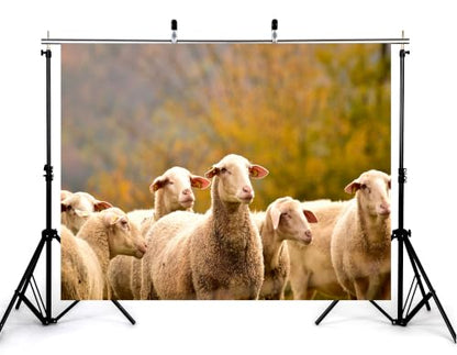 5x3ft Fabric Closeup Fluffy White Sheep Backdrop Group Wool Lamb Soft Blurred Autumn Bush Rural Farm Scene Photography Background Tapestry Party Country Farm Decorations Photo Booth Props - size: 5x3ft