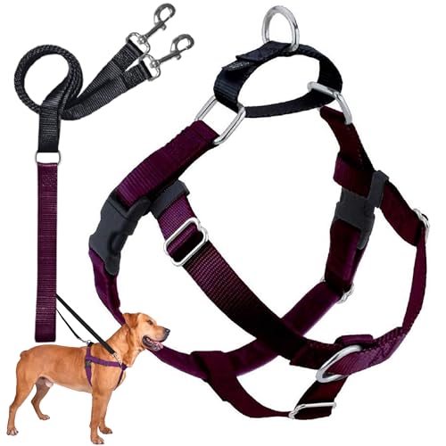 2 Hounds Design Freedom No Pull Dog Harness and Leash, 1" XXL, Burgundy - color: Burgundy, size: XXL (Chest 38" - 44")