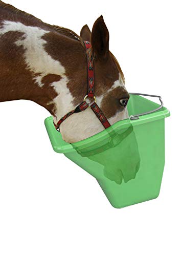 Little Giant® Plastic Better Bucket | Horse Feed Bucket | Ergonomically Designed | Flat Back Bucket | Made in USA | 20 Quarts | Green - color: Green, size: 20 Quarts