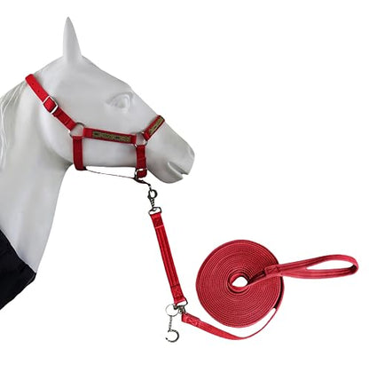 2PCS Adjustable Horse Halter&Horse Training Lunge LINE Double-Buckle Anti-Entanglement Soft BUT Firm Used for Equestrian Training and Training