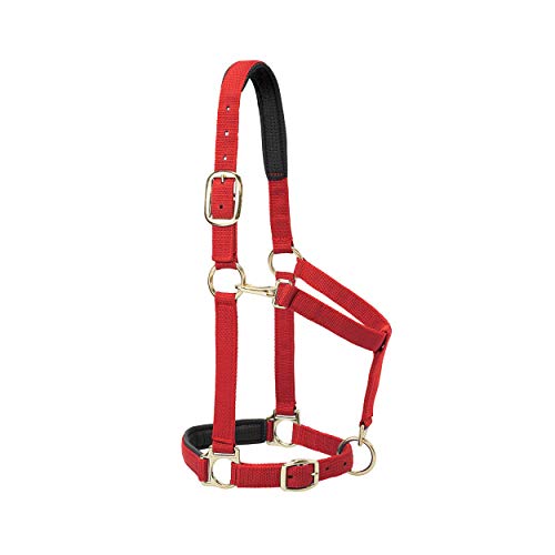 Weaver Equine Breakaway Horse Halter, Comfort Foam Padding, Adjustable Chin & Throat Snap Halters for Horses, Equine Tack,Average Size, Solid Red