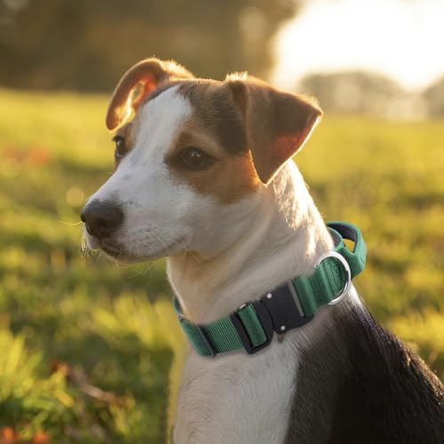 TSPRO Heavy Duty Tactical Dog Collar Quick Release Metal Buckle with Handle | Premium Dog Collar, Military Nylon, 1.25 Inch Wide, Soft Padded, Thick, Durable, Adjustable for Medium & Large Dogs (Green M) - color: Basic Green, size: M, Handle Style, Neck 1
