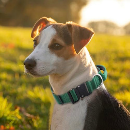 TSPRO Heavy Duty Tactical Dog Collar Quick Release Metal Buckle with Handle | Premium Dog Collar, Military Nylon, 1.25 Inch Wide, Soft Padded, Thick, Durable, Adjustable for Medium & Large Dogs (Green M) - color: Basic Green, size: M, Handle Style, Neck 1