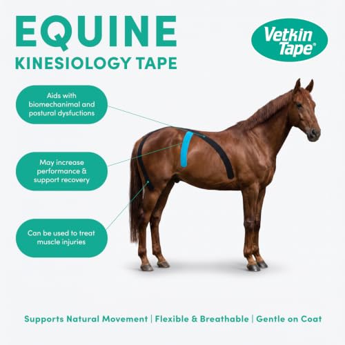 VetkinTape Canine & Equine Kinesiology Tape | Veterinary Tape 2.4" - color: Orange