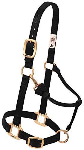 Weaver Leather Nylon Adjustable Draft Horse Halter, 1", Average, Black