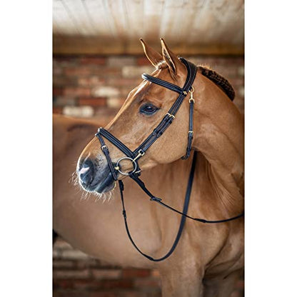 LeMieux Kudos Work Bridle - color: Brown, size: X-Full