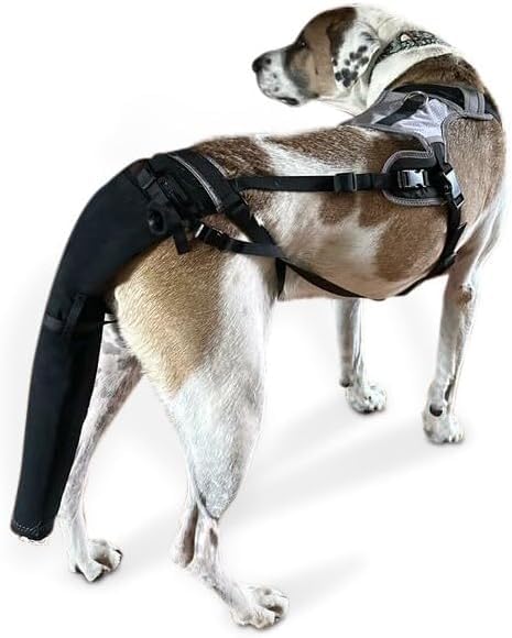 Tail Guard & Harness Set - Veterinary Dog Tail Protector & Injury Wrap, Size Large - size: L