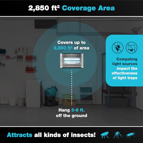 Catchmaster Vector Plasma Screened Wall-Mounted UV Fly Light Trap - 2,850 sq. ft. Catch Zone, Fly Trap for Dining Rooms & Commercial Kitchens and Fresh & Dry Food Storage, UV Lamp Flying Insect Killer - style: Plasma Screened - 2,850 sq ft