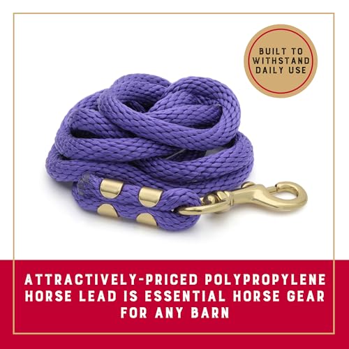 Weaver Equine Performance Lead Rope, Purple, 8' Horse Value Rope with Brass Plated 225 Snap, Soft Comfort Grip, Barn Horse Tack for Daily Use