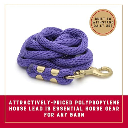 Weaver Equine Performance Lead Rope, Purple, 8' Horse Value Rope with Brass Plated 225 Snap, Soft Comfort Grip, Barn Horse Tack for Daily Use