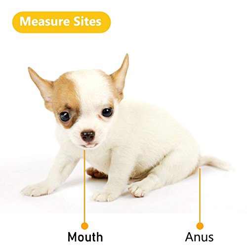 Animal Electronic Ehermometer Pet Thermometer Digital Thermometer is a Fast Rectal Thermometer for Dogs,Horse, Cats, Pigs,Sheep