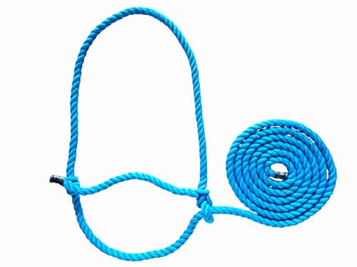 Villanos Arts - Poly Rope Cattle Halter for Cow and Calf, for Daily Use, Weather Resistant, Handling Equipment for Showing, 13 Ft Long x 12mm Thickness.