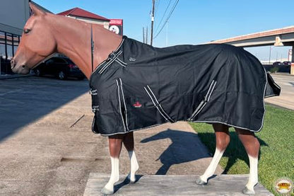 Hilason 600D Waterproof Miniature Horse Turnout Blanket - color: Black, size: 38 In