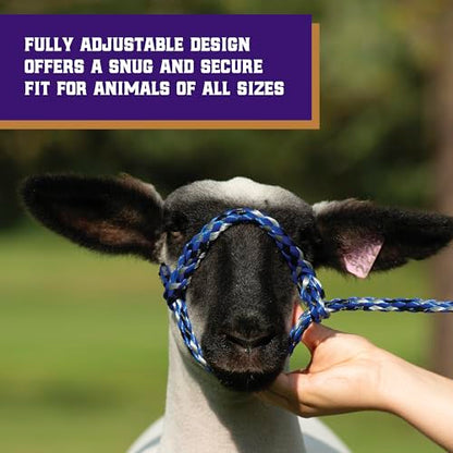 Weaver Livestock Poly Rope Sheep Halter, Modern Style Braid Sheep and Goat Rope Halter - color: Black